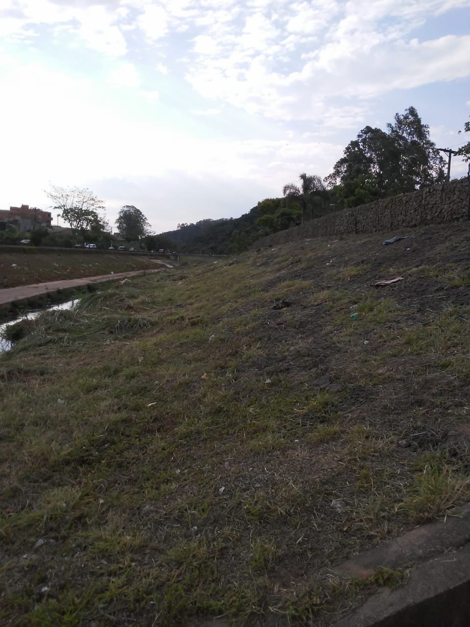 Margem do rio Aricanduva visível, com o mato roçado e detritos recolhidos